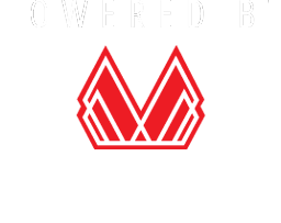 Evolve Technik